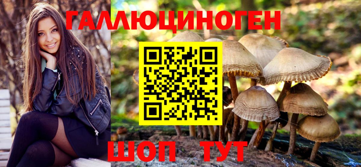 Шелехов  Галлюциногенные грибы Magic Shrooms  Вход с VPN 