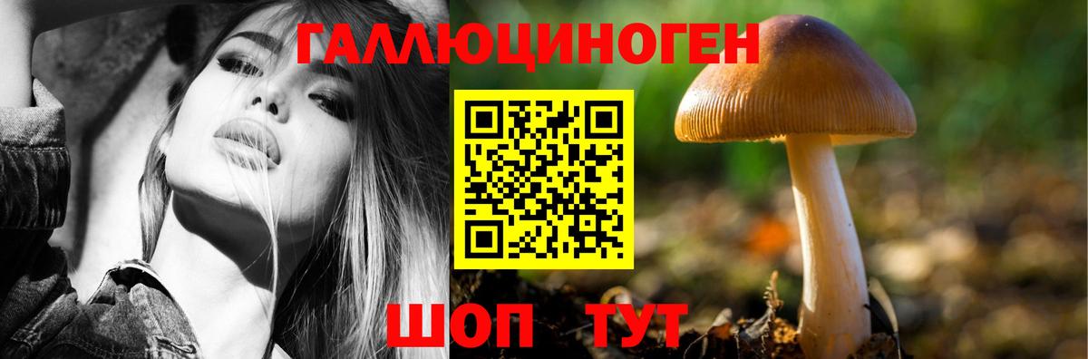 Псилоцибиновые грибы мицелий Шелехов